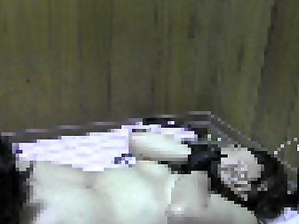 Jav Milf Ruthlessly Seduces With Cunnilingus And Handjob!